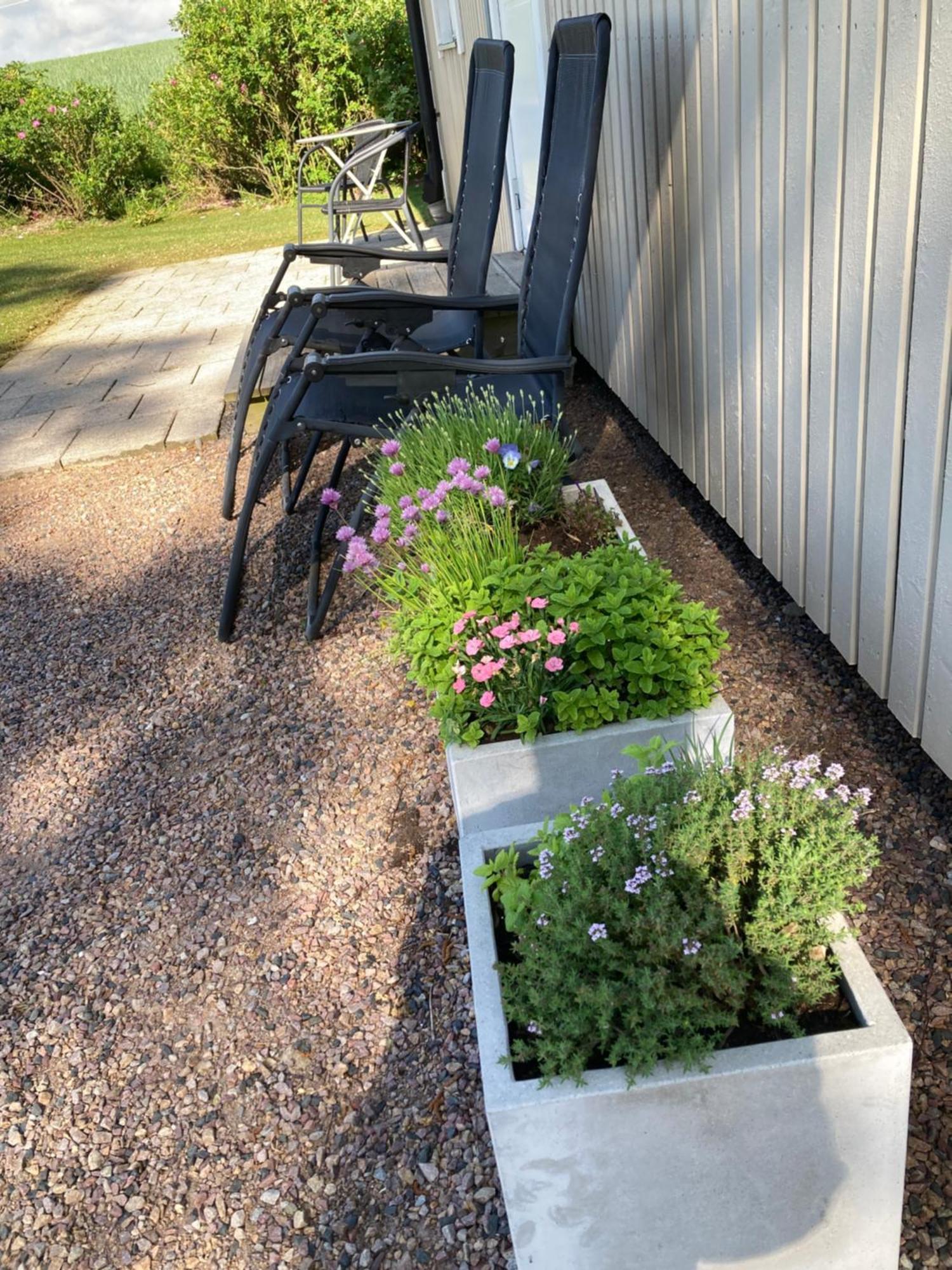Slimmingegarden 1019 Villa Skurup Exterior foto